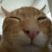buh (@buh_fm) Twitter profile photo buh (@buh_fm) Twitter profile photo