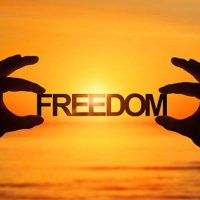 Freedom Girl (@freedomgrl32) 's Twitter Profile