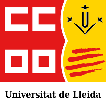 Secció sindical de CCOO de la Universitat de Lleida.
Correu electrònic: ccoo@sindicats.udl.cat