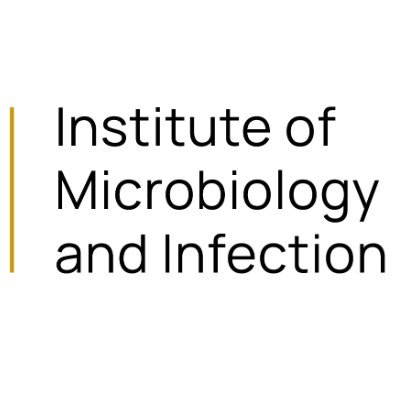 @IMIBirmingham