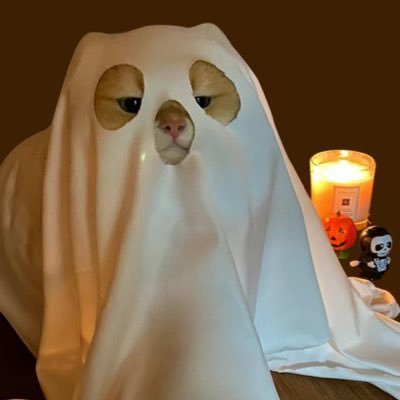 heyleosun's profile picture. 