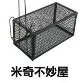 e54f89255763's profile picture. CYPTO IS AMAZING