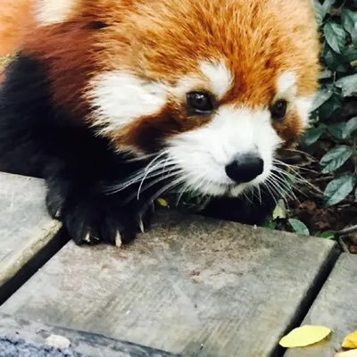 neo1286873's profile picture. 