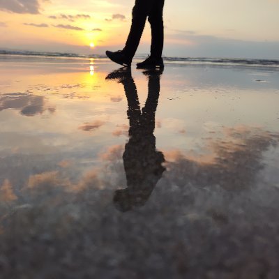 comb_high_cat's profile picture. 若者たちとの交流用アカウントだったけど、観に行った美術展の記録も兼ねつつある