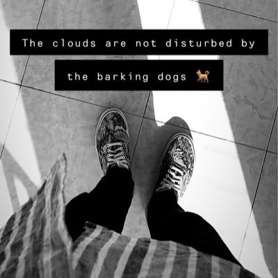 zayinhd's profile picture. I like some part of the internet 💻 Coding . I know many languages but you won’t like them. Currently learning JS. React and NodeJs.