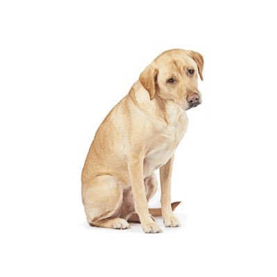 NicoSky's profile picture. 元@bda_trd #携帯番号変えて引き継ぎ出来なかったマン#ガーディ推し #モンスト #GT7 #車好き