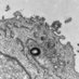 James Edgar (@edgar_lab_uk) Twitter profile photo James Edgar (@edgar_lab_uk) Twitter profile photo