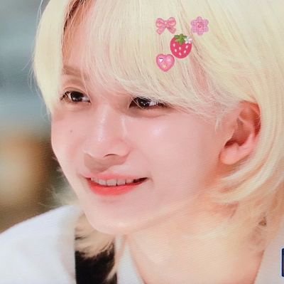 ✎✧˚ ༘ ⋆。˚ haohoshihan 🍉🍉
𓄲 #디에잇 #정한 #호시
⤷proofs : @jaezille_o