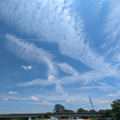 QSbDTJ4pVDVlIKA's profile picture. のんびりまったりと♪
既婚43。レス。
kakaoであれば。