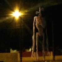 Michael McDougall (@mic19790) 's Twitter Profile