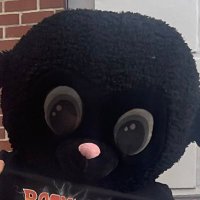 Fat (@mrfatccock) 's Twitter Profile