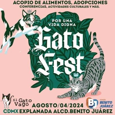 #GatoFest es un evento organizado por @elgatovagomex para ayudar a miles de felinos en albergues, con el objetivo de crear más conciencia y respeto hacia ellos.