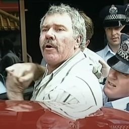 Darkrinsolarorb's profile picture. Succulent chinese meal enjoyer.