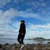 Sloshough (@sloshough147191) Twitter profile photo Sloshough (@sloshough147191) Twitter profile photo