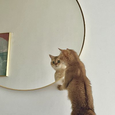 li_xuying's profile picture. Tech nerd talks about tech stuff