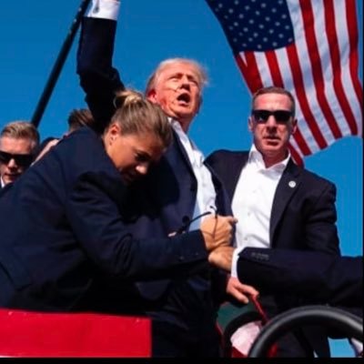 ShaunSussex's profile picture. 