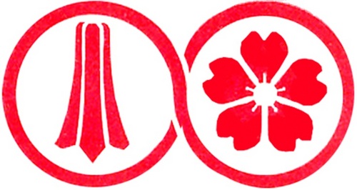 chileno_japones's profile picture. 