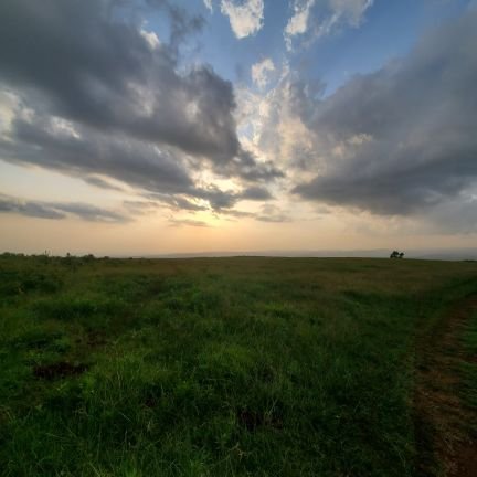 bantuniyan's profile picture. I write sometimes.....as I wallow in the unexpected depths of adulthood.