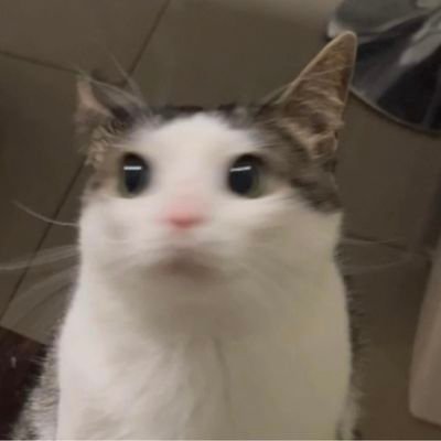 Zuさんのプロフィール画像