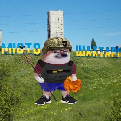 Toretsk ♥️ | Austrian helping Ukraine 🇺🇦 | NAFO | Stealing memes & shitposting and sometimes doing aid | Support @3xR_team | Charity Gallery @stories_color