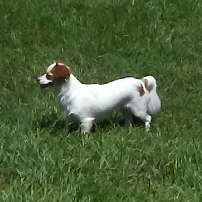 Atomic_Cracker's profile picture. My opinions do not require democrat or republican approval, and I couldn't care less about your pronouns... ***I Do Not Respond to Messages***