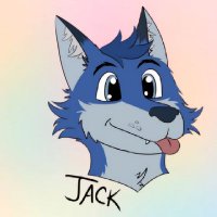Jack The Fox π¦ π Seattle (@_jackthefox) 's Twitter Profile