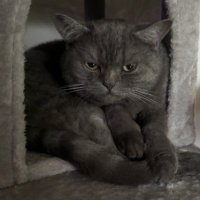 Snipzy 🦇 (@snpz999) Twitter profile photo