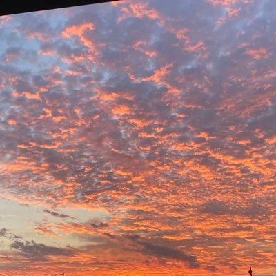 GingerBadAtX's profile picture. Just a guy who’s bad at everything including Twitter https://t.co/WZTEdAvKKm