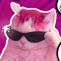 Nate - Monteur Vidéo (@natebeyond) 's Twitter Profile