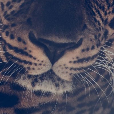 rubiexotikita's profile picture. 