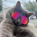 Missfloofins (@missfloofins) Twitter profile photo Missfloofins (@missfloofins) Twitter profile photo