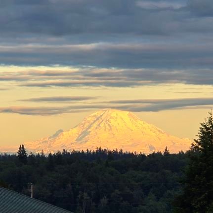 sayyestocheese's profile picture. 