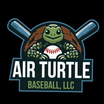 Air Turtle Baseball Profile