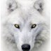 Alpha Doge (@alphadoge777) Twitter profile photo Alpha Doge (@alphadoge777) Twitter profile photo