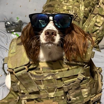 _lightning95_'s profile picture. putting the RE in RETARD