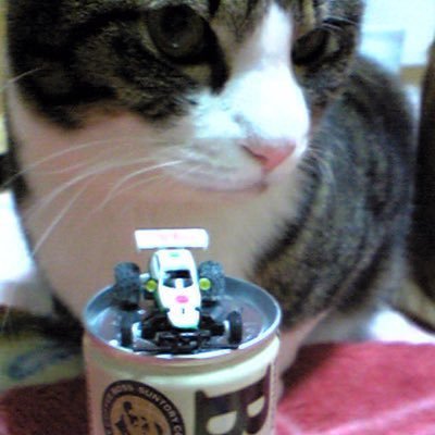 neco ページ neco (@neco513) / Posts / X