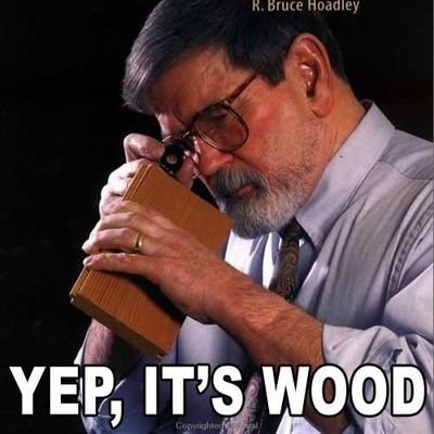 DiverDanimal's profile picture. 