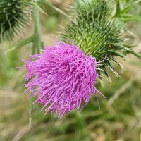 s. saico (@ssaico1) 's Twitter Profile Photo