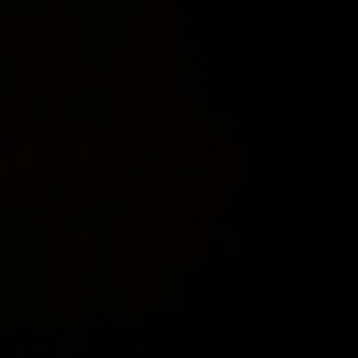 cannaKiko's profile picture. Another one