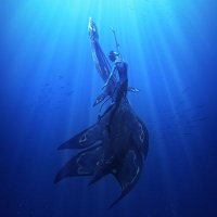 Claire π | πΊππ§’ (@hawaii50sdkc) 's Twitter Profile Photo Claire π | πΊππ§’ (@hawaii50sdkc) 's Twitter Profile Photo