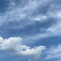ちび🌱GttT! (@gtttdoa) 's Twitter Profile Photo ちび🌱GttT! (@gtttdoa) 's Twitter Profile Photo