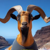 La Caverna Bereber (@lcavernabereber) 's Twitter Profile