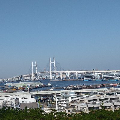 re_nma1133's profile picture. 福岡(04)
お隣り空いてる