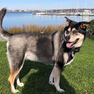 KenRammer's profile picture. 