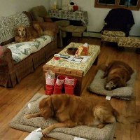 carolyn walker (@1animaladvocate) 's Twitter Profile Photo carolyn walker (@1animaladvocate) 's Twitter Profile Photo