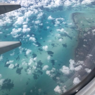 Tavose4's profile picture. 