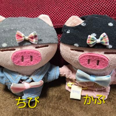 norimama127's profile picture. 大阪市在住の双子(男女)の母ちゃんです～もうすぐ還暦をむかえるおばさんがとLeeKnowちゃん🐰(Stray Kids)とぶたた🐽とパンダ🐼と向井康二くん🧡(Snow Man)ハマってしまいました～😘💕
キムジェヨンとアンヒョソプとパクジニョン(GOT7)も大好き💕
よろしくお願いします❤️