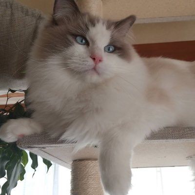 anli0321's profile picture. きっかけがあれば人生は大きく変わると思っています！！ 資金調達で毎月500名の方のご対応させて頂きます 最短即日な ホワイト融資300万～2000万なブラック応相談！！ 一緒に豊かになりましょう。現代毒から子供を守る教会