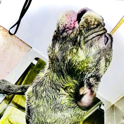 JackHowe77's profile picture. 