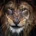 Old Lion (@oldlion1965) Twitter profile photo Old Lion (@oldlion1965) Twitter profile photo